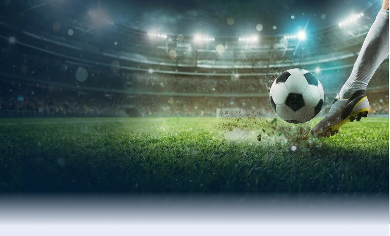 Soccer stadium field