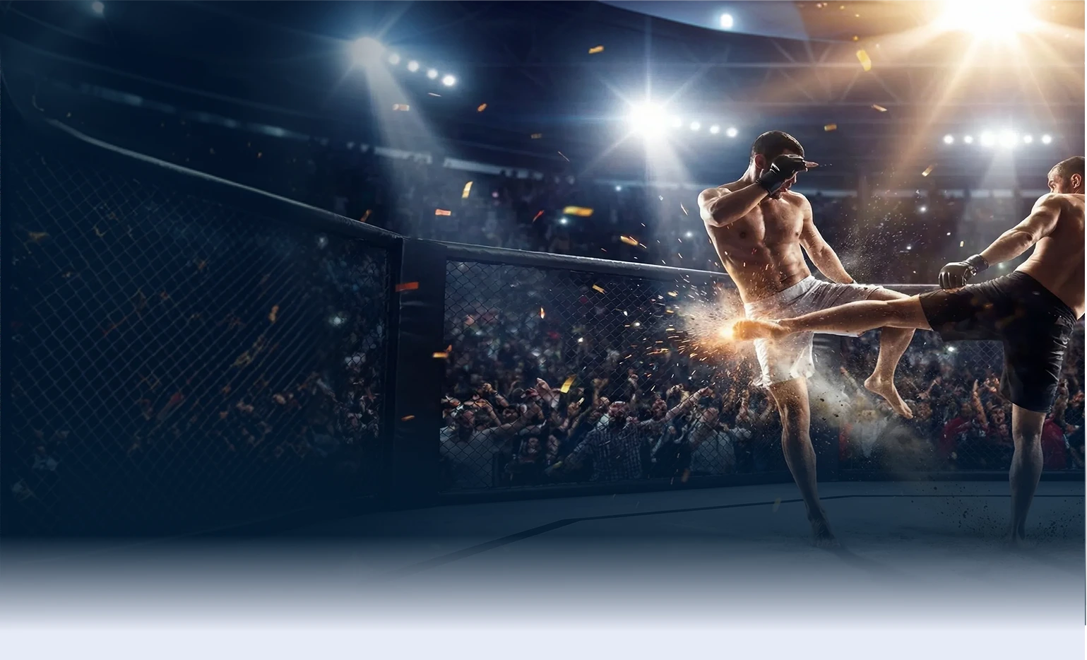 Intense MMA fight scene